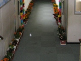 nLQ