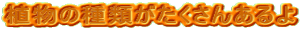 A̎ނ񂠂