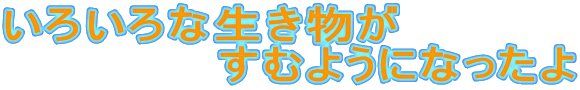 낢Ȑ
@@@@@@ނ悤ɂȂ