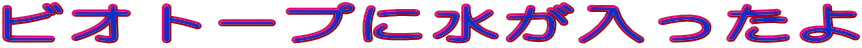 rIg[vɐ