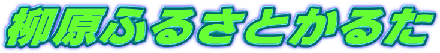 邽
